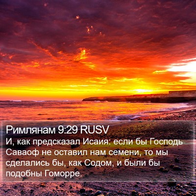 Римлянам 9:29 RUSV Bible Verse Image