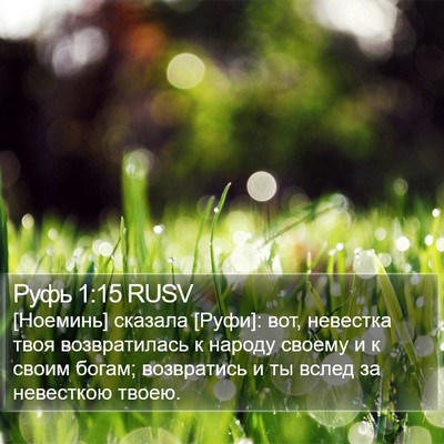 Руфь 1:15 RUSV Bible Verse Image