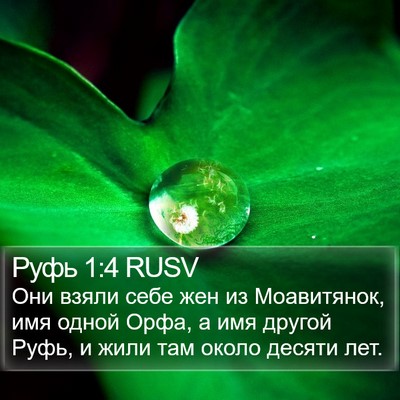 Руфь 1:4 RUSV Bible Verse Image