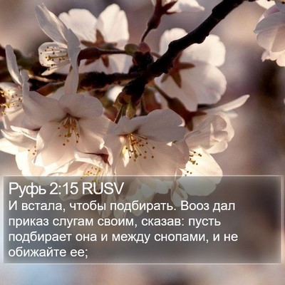 Руфь 2:15 RUSV Bible Verse Image
