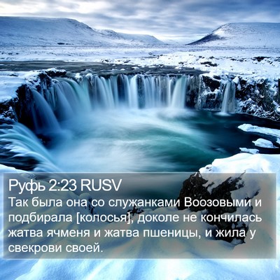 Руфь 2:23 RUSV Bible Verse Image