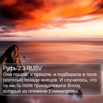 Руфь 2:3 RUSV Bible Verse Image