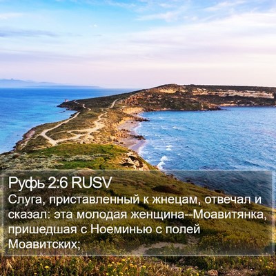 Руфь 2:6 RUSV Bible Verse Image