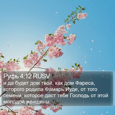 Руфь 4:12 RUSV Bible Verse Image