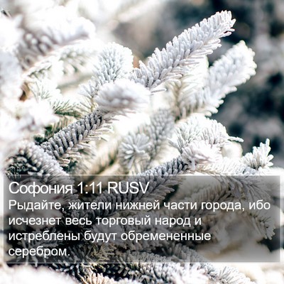 Софония 1:11 RUSV Bible Verse Image
