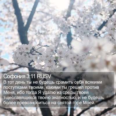Софония 3:11 RUSV Bible Verse Image