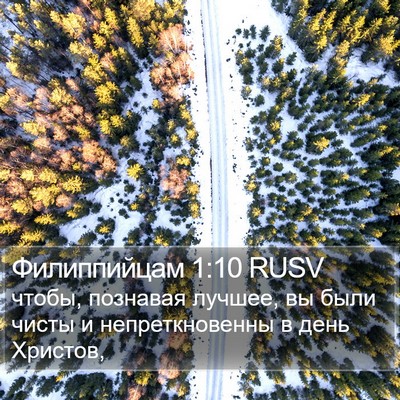Филиппийцам 1:10 RUSV Bible Verse Image