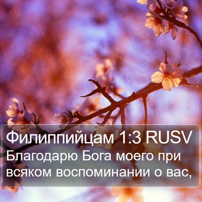 Филиппийцам 1:3 RUSV Bible Verse Image