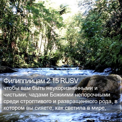 Филиппийцам 2:15 RUSV Bible Verse Image