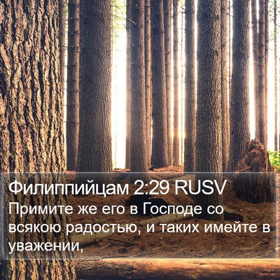 Филиппийцам 2:29 RUSV Bible Verse Image