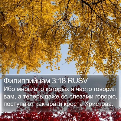 Филиппийцам 3:18 RUSV Bible Verse Image
