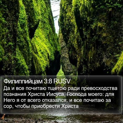 Филиппийцам 3:8 RUSV Bible Verse Image