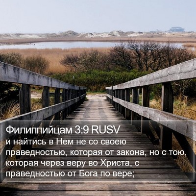 Филиппийцам 3:9 RUSV Bible Verse Image