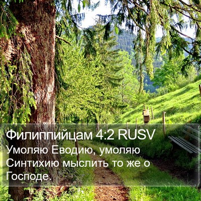 Филиппийцам 4:2 RUSV Bible Verse Image