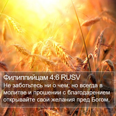 Филиппийцам 4:6 RUSV Bible Verse Image