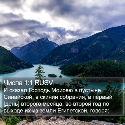 Числа 1:1 RUSV Bible Verse Image