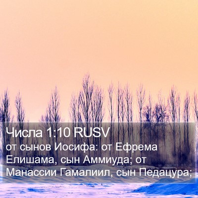 Числа 1:10 RUSV Bible Verse Image