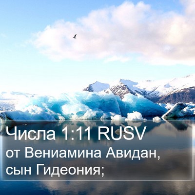 Числа 1:11 RUSV Bible Verse Image