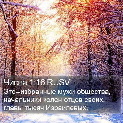 Числа 1:16 RUSV Bible Verse Image