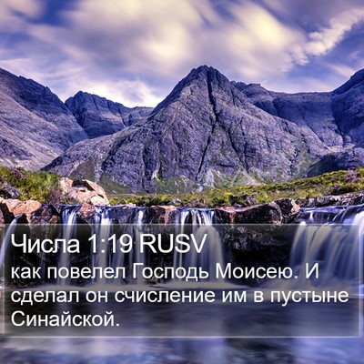 Числа 1:19 RUSV Bible Verse Image