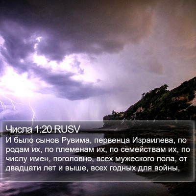 Числа 1:20 RUSV Bible Verse Image