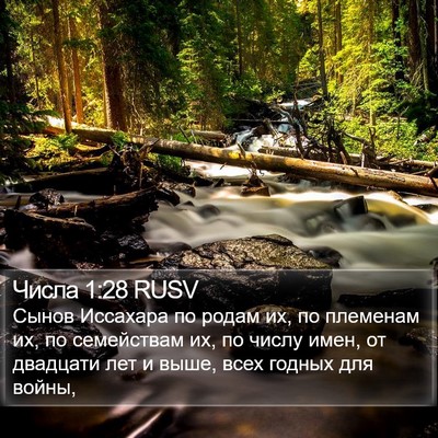 Числа 1:28 RUSV Bible Verse Image