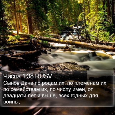 Числа 1:38 RUSV Bible Verse Image