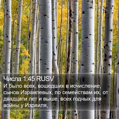Числа 1:45 RUSV Bible Verse Image