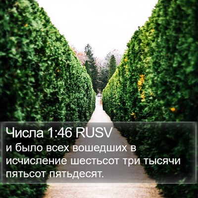 Числа 1:46 RUSV Bible Verse Image