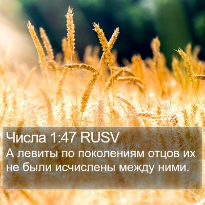 Числа 1:47 RUSV Bible Verse Image