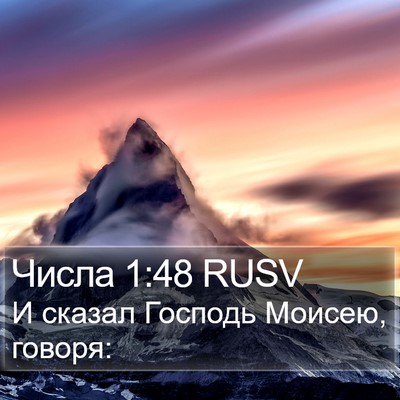 Числа 1:48 RUSV Bible Verse Image