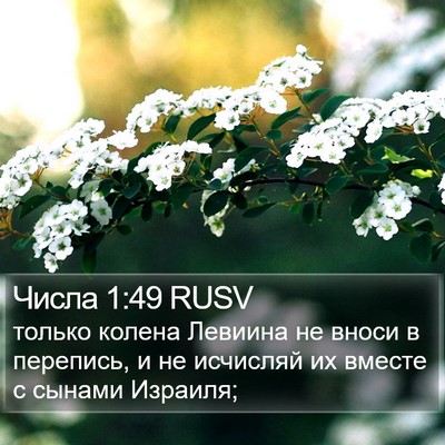 Числа 1:49 RUSV Bible Verse Image