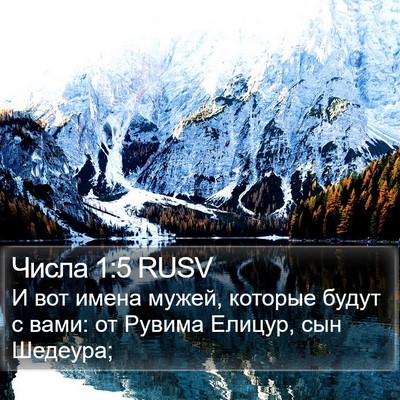Числа 1:5 RUSV Bible Verse Image