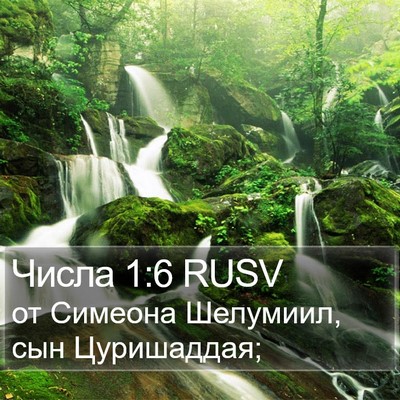 Числа 1:6 RUSV Bible Verse Image
