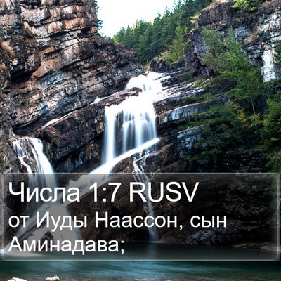Числа 1:7 RUSV Bible Verse Image