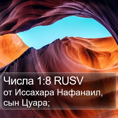 Числа 1:8 RUSV Bible Verse Image