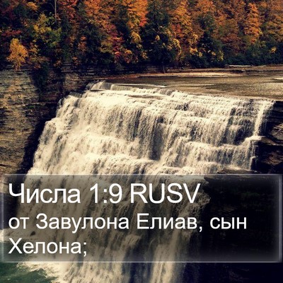 Числа 1:9 RUSV Bible Verse Image