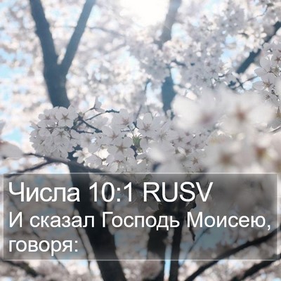 Числа 10:1 RUSV Bible Verse Image