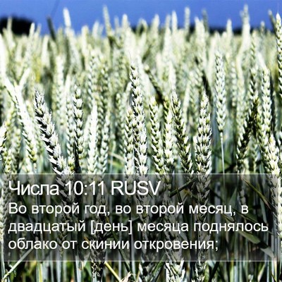 Числа 10:11 RUSV Bible Verse Image