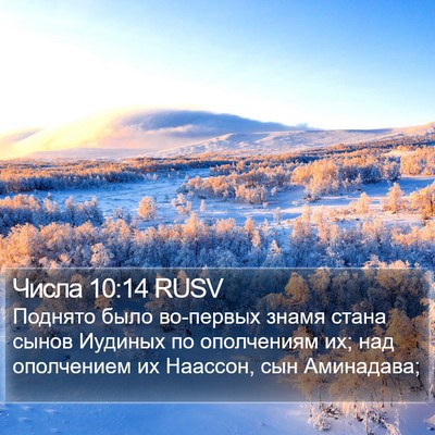 Числа 10:14 RUSV Bible Verse Image