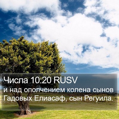 Числа 10:20 RUSV Bible Verse Image