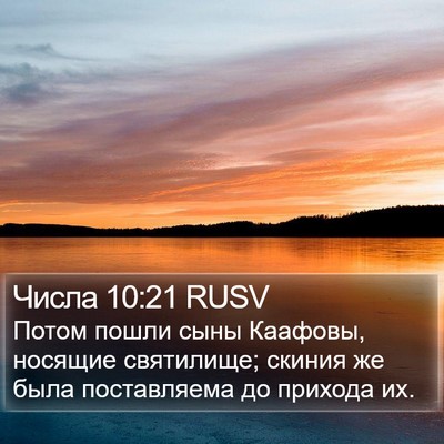 Числа 10:21 RUSV Bible Verse Image