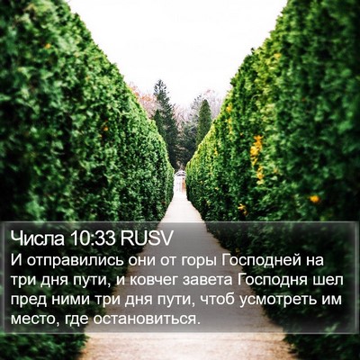 Числа 10:33 RUSV Bible Verse Image
