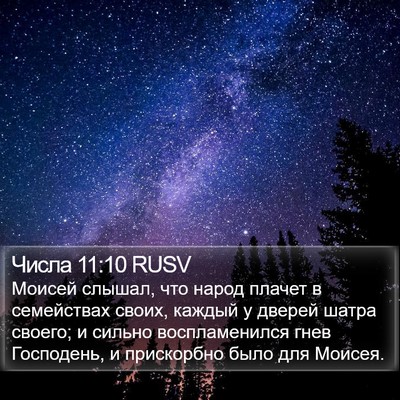 Числа 11:10 RUSV Bible Verse Image