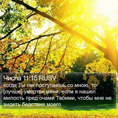 Числа 11:15 RUSV Bible Verse Image