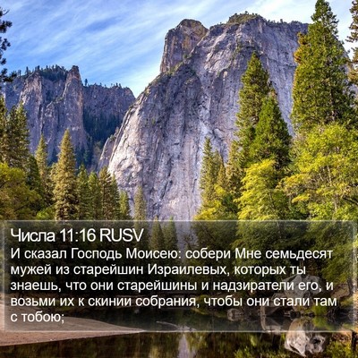 Числа 11:16 RUSV Bible Verse Image