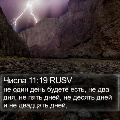 Числа 11:19 RUSV Bible Verse Image