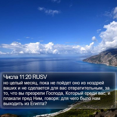 Числа 11:20 RUSV Bible Verse Image