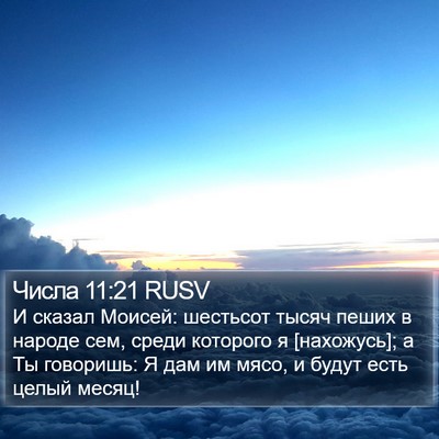 Числа 11:21 RUSV Bible Verse Image