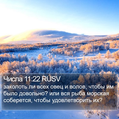 Числа 11:22 RUSV Bible Verse Image